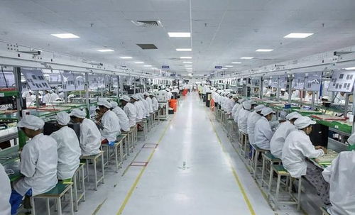 啼笑皆非 揭開印度制造的組裝與技術服務真相